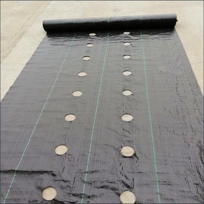 打孔防草布的價格,打孔蓋草布